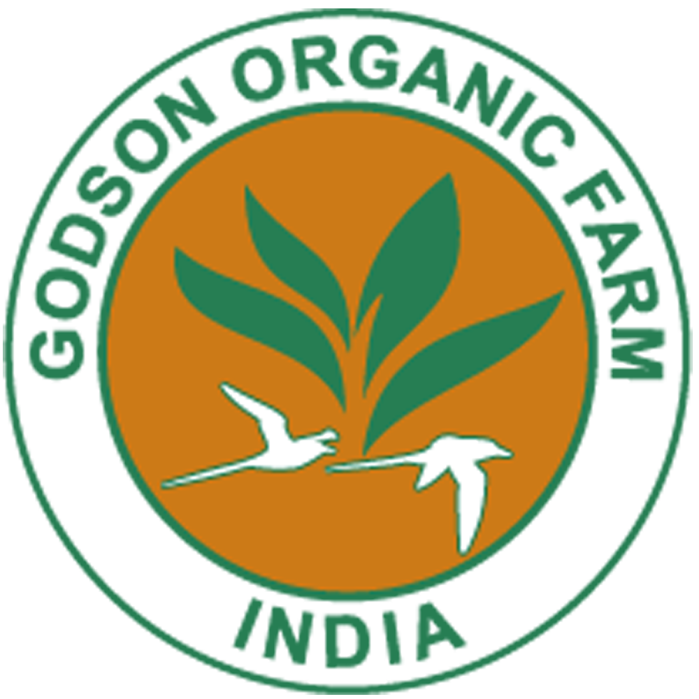 IMG-LOGO