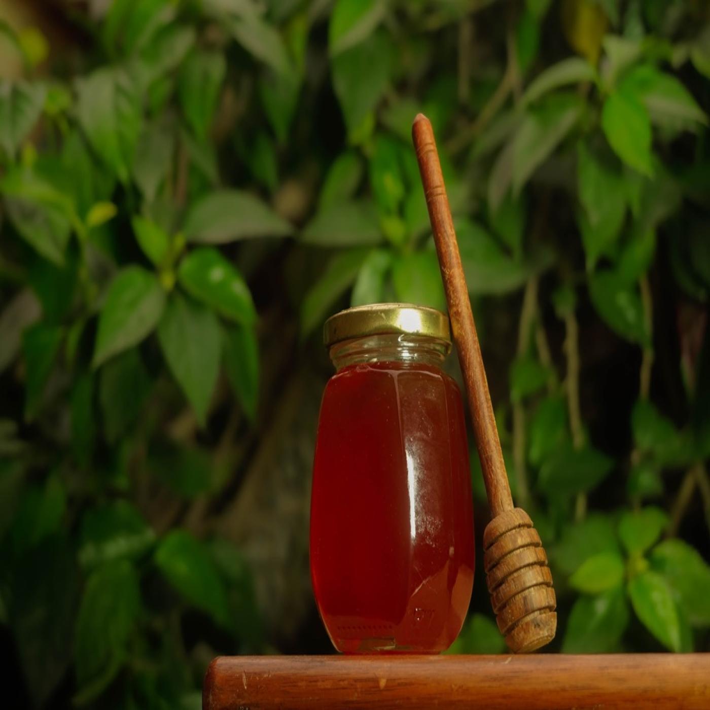 Raw Organic Honey